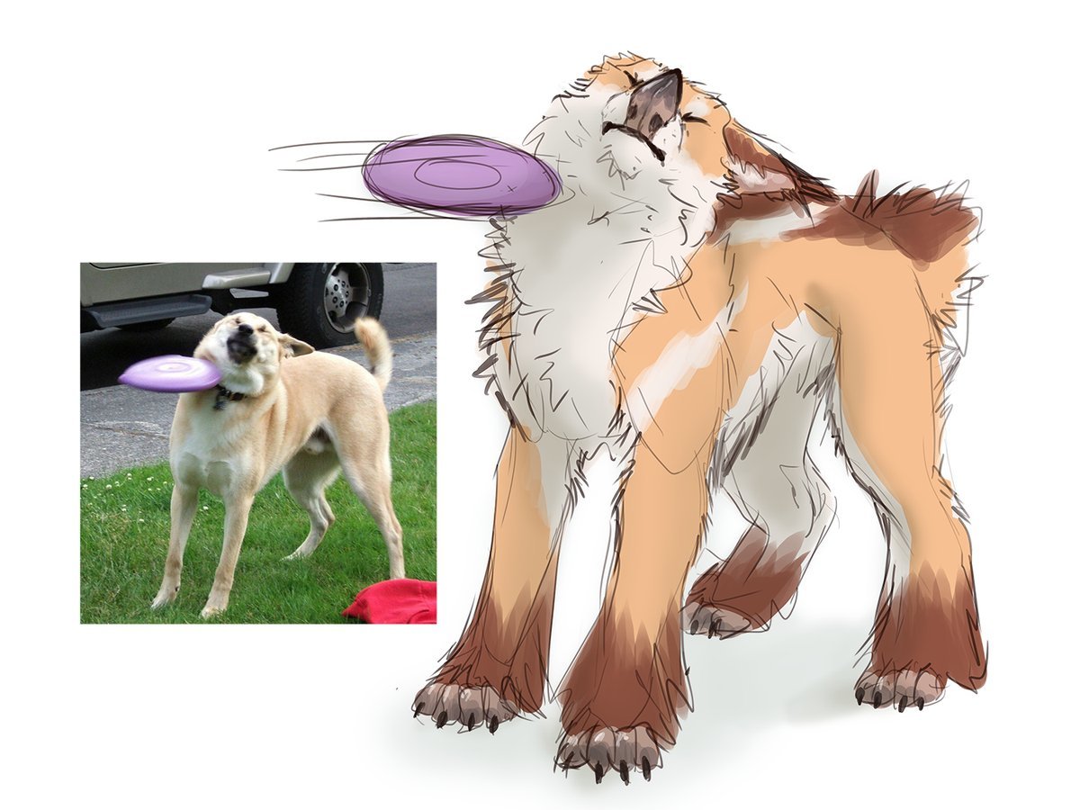 MEMEFRAME - Lynjox, Games, Warframe, Kubrow, Kavat, cat, Dog, Memes, Longpost