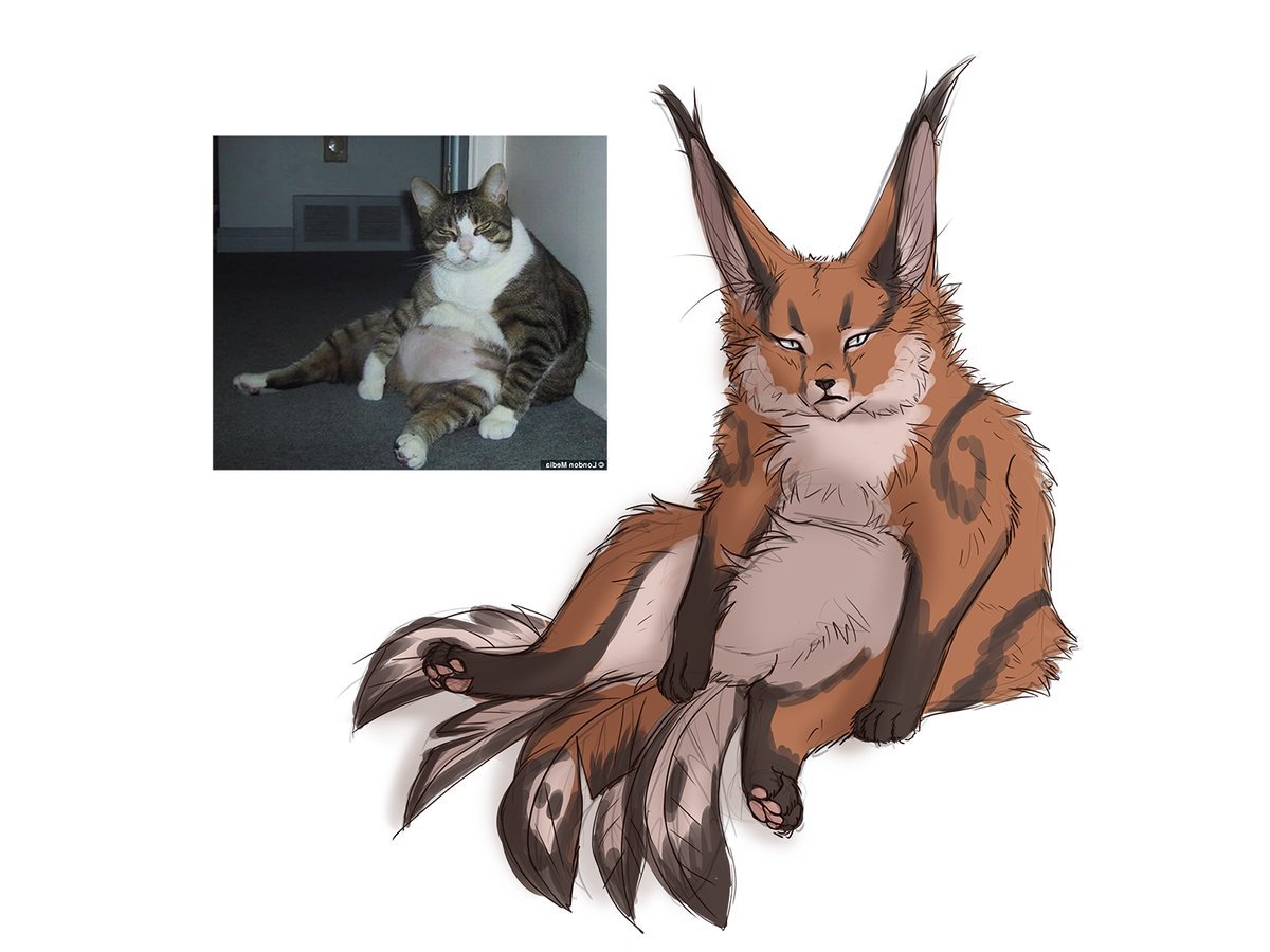 MEMEFRAME - Lynjox, Games, Warframe, Kubrow, Kavat, cat, Dog, Memes, Longpost