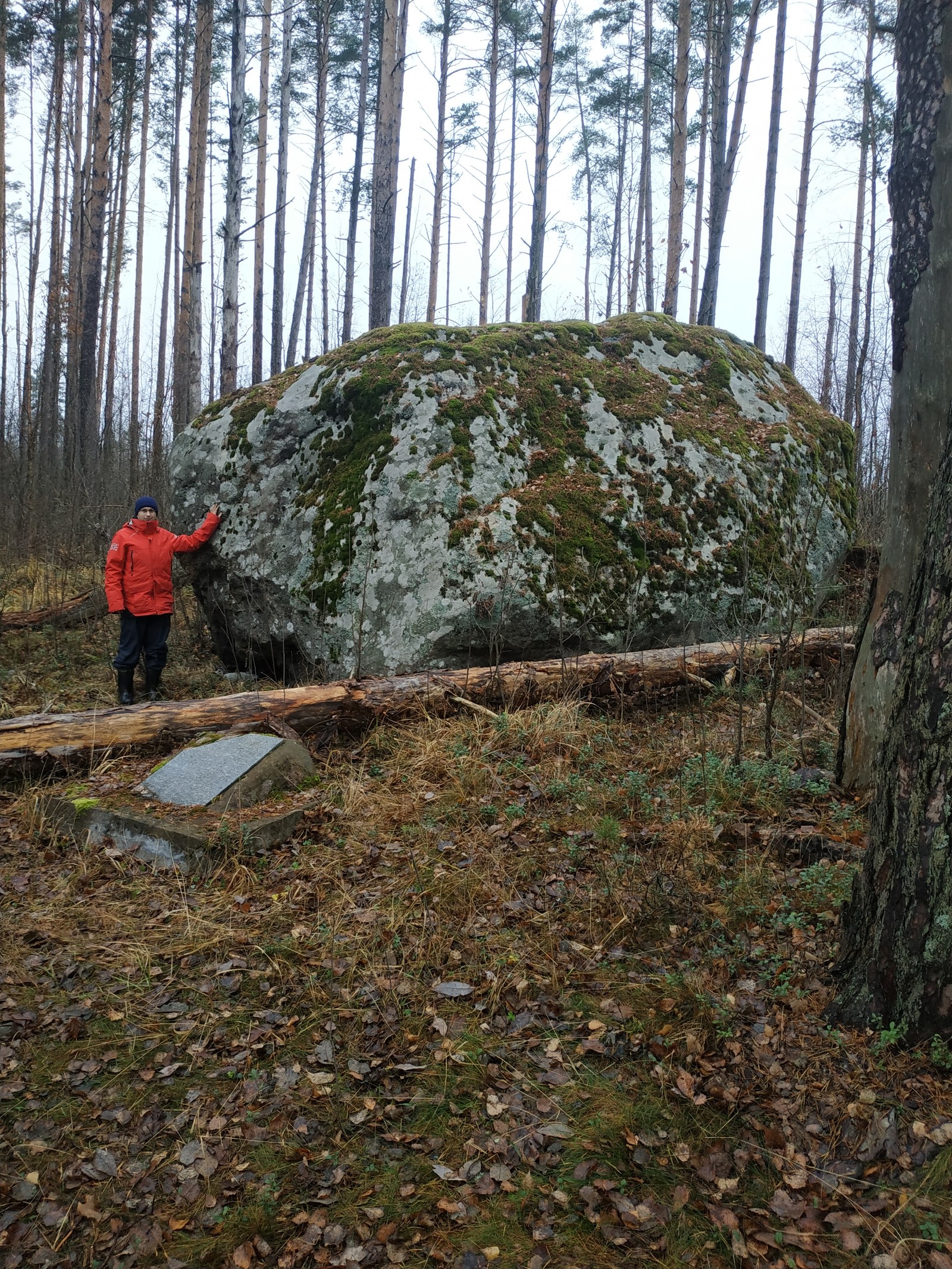 How we searched for the Sun Stone - My, Longpost, Travels, Hike, Vuoksi, Sail, A boat, Story, Tourism, Reeds, Video