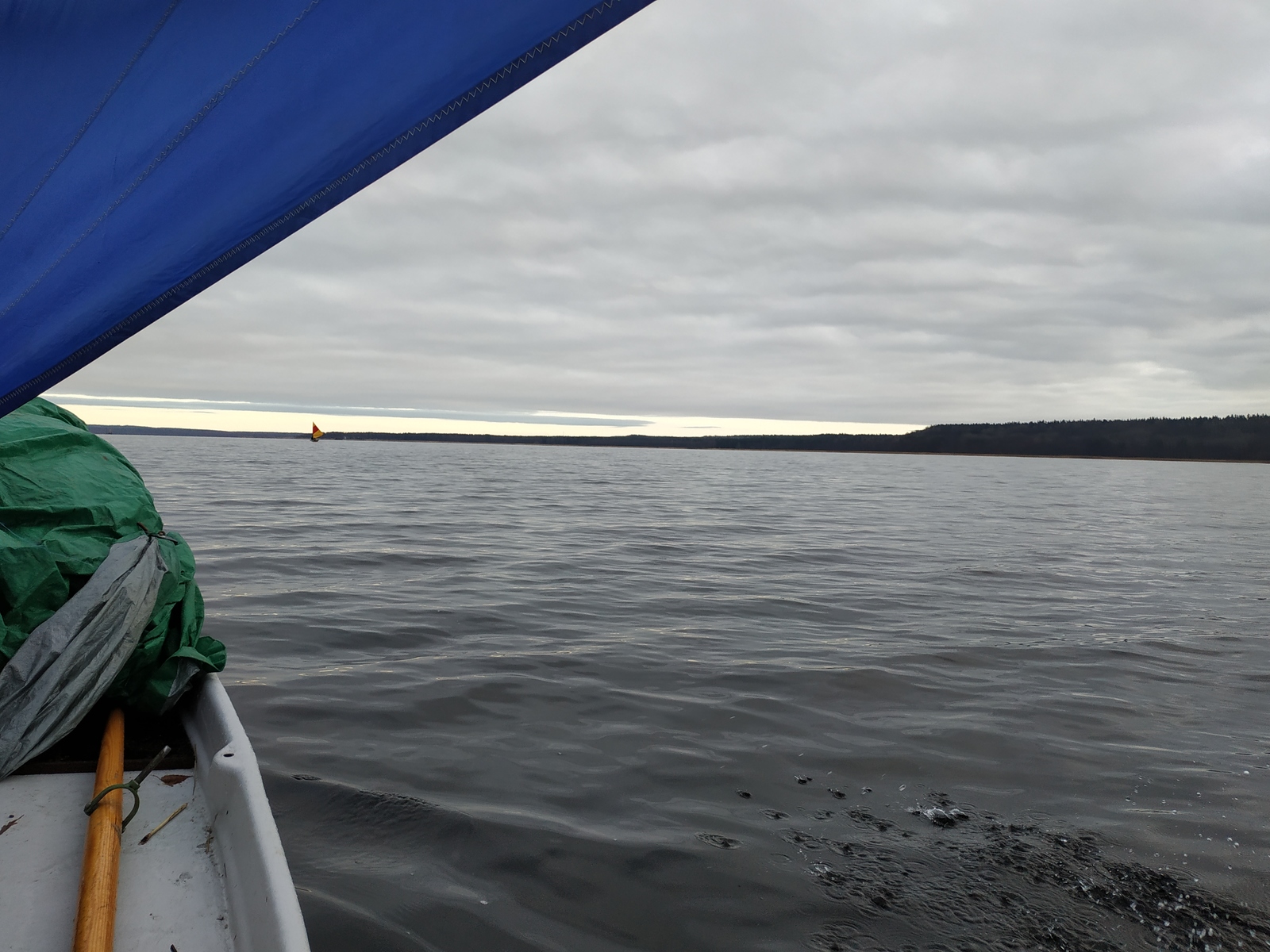 How we searched for the Sun Stone - My, Longpost, Travels, Hike, Vuoksi, Sail, A boat, Story, Tourism, Reeds, Video