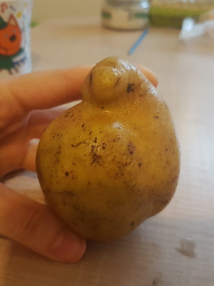 Potato Zhdun - My, Zhdun, Potato, Imagination, Longpost