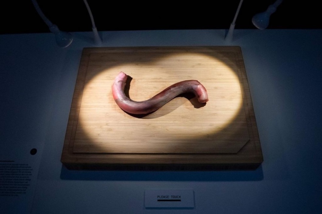 Disgusting food museum opens in Sweden Among the dishes - koumiss - Food, Fancy food, Disgusting, Abomination, Sweden, Interesting, Koumiss, Longpost