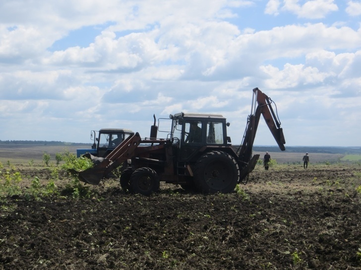 Over 45,000 hectares of fallow lands put into circulation in the Penza Region - Penza Oblast, , Сельское хозяйство