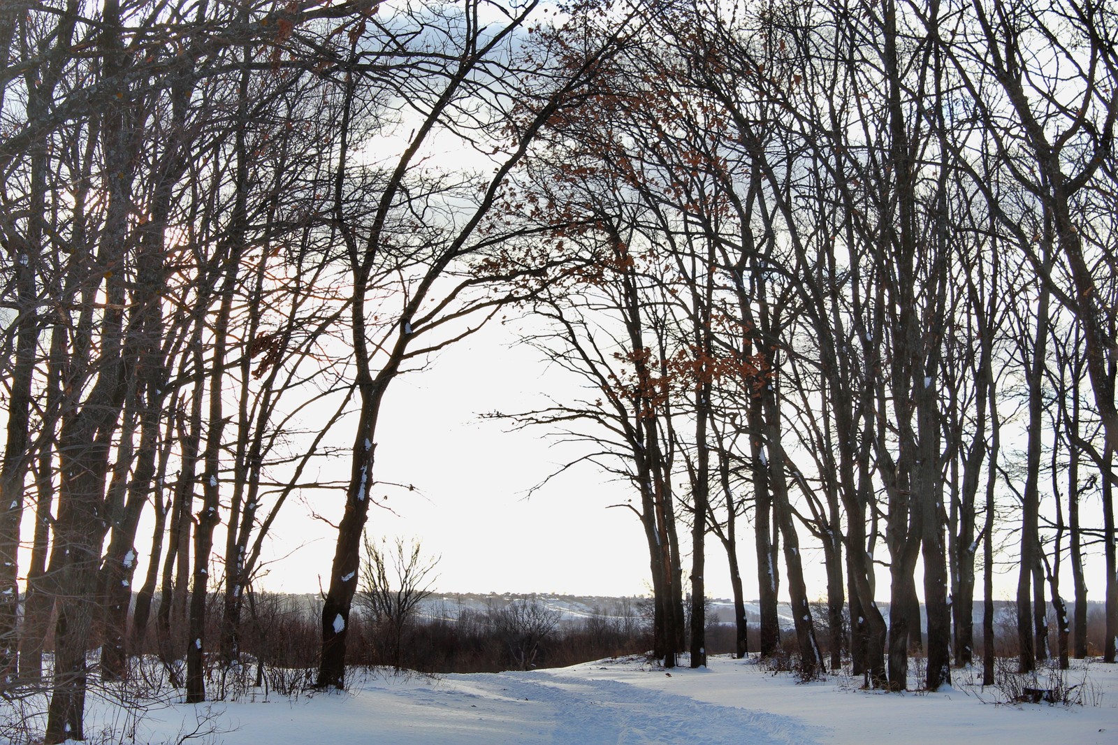 Photo walk - My, Dzerzhinsk, Longpost, The photo, Winter, Canon 1300d, 18-55 kit