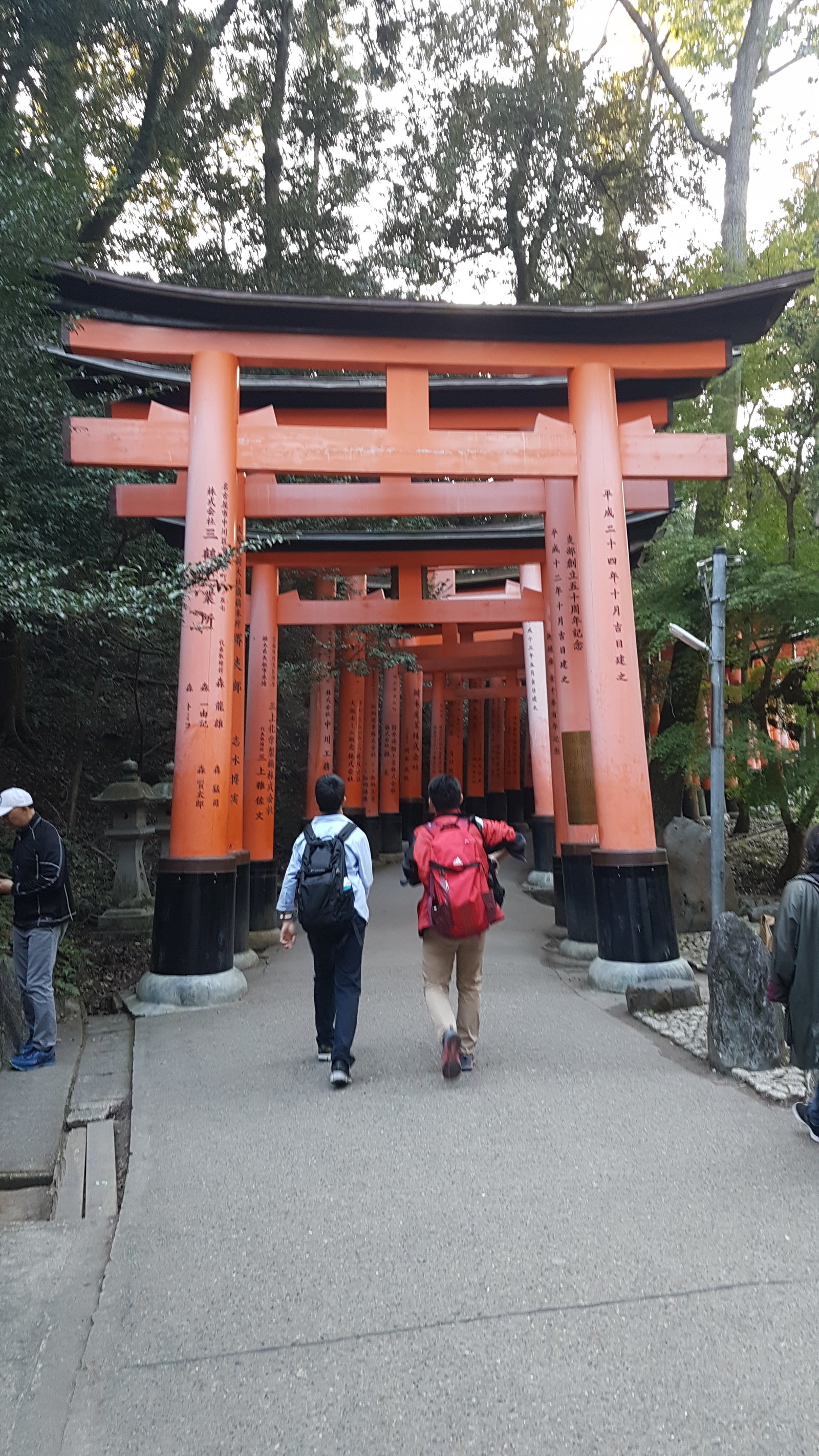 Tour to Japan (do it yourself). Part 2 KYOTO - My, Kyoto, , Fushimi Inari, , , Shinkansen, , Japan, Video, Longpost