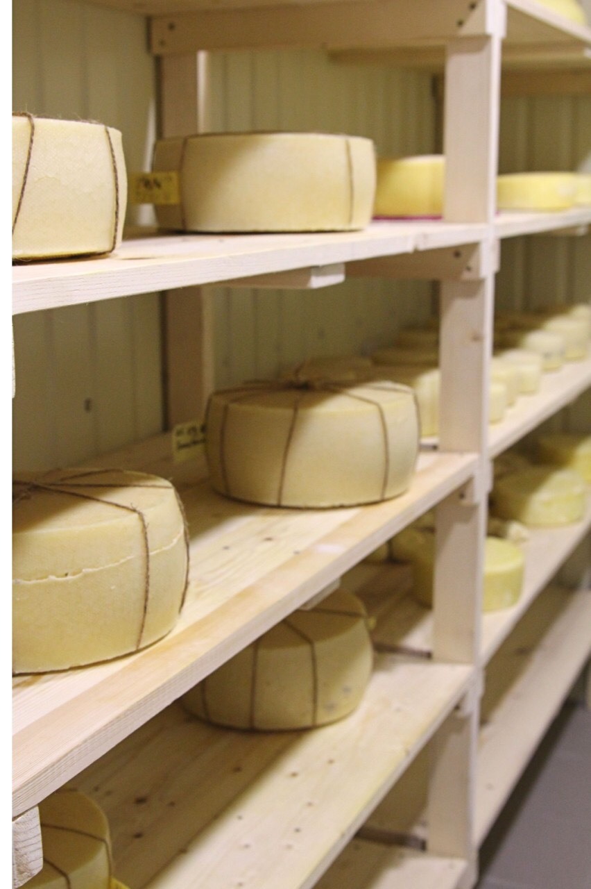 From a saucepan to a cheese factory. - My, Cheese, Cheese making, Craft, Longpost, Food, Equipment