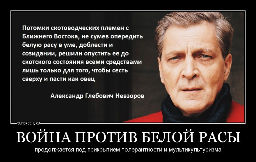 Дело говорит - Толерантность, Мультикультурализм, Невзоров, Александр Невзоров