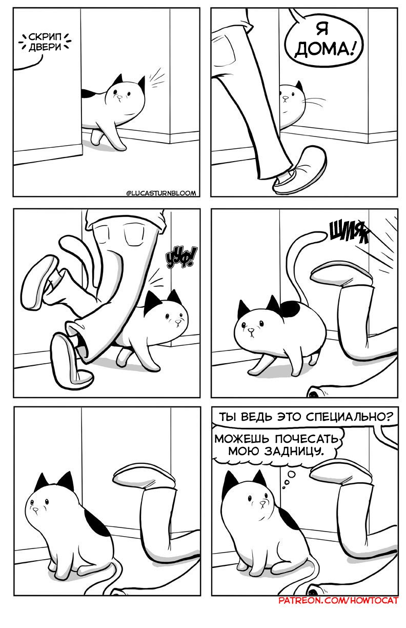 Hooking - Comics, cat, Lucas Turnbloom, Footboard