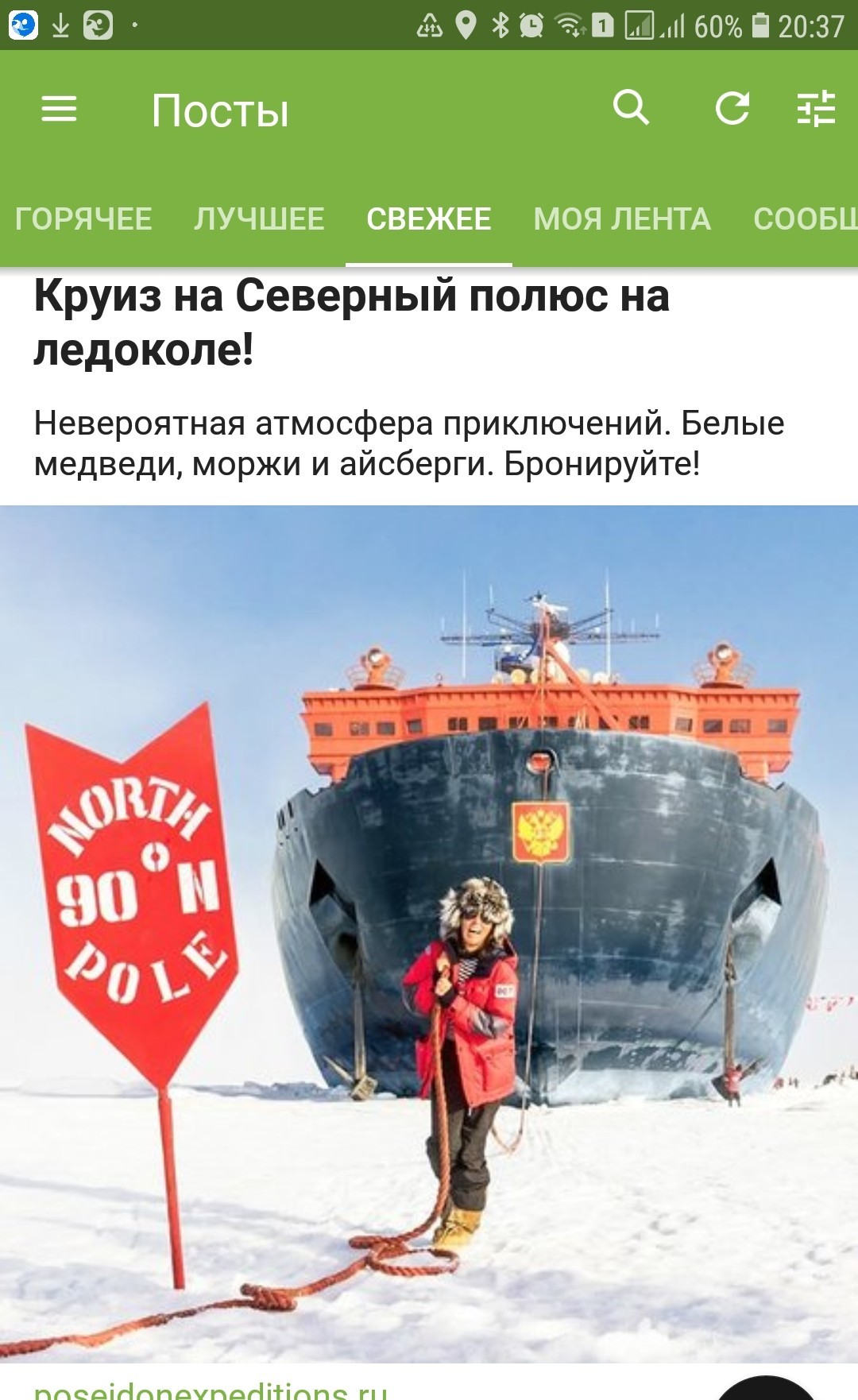 Yandex: Sell your apartment and go to the North Pole! - My, Vacation, Yandex Direct, Wiretapping, Plans for the future, Longpost