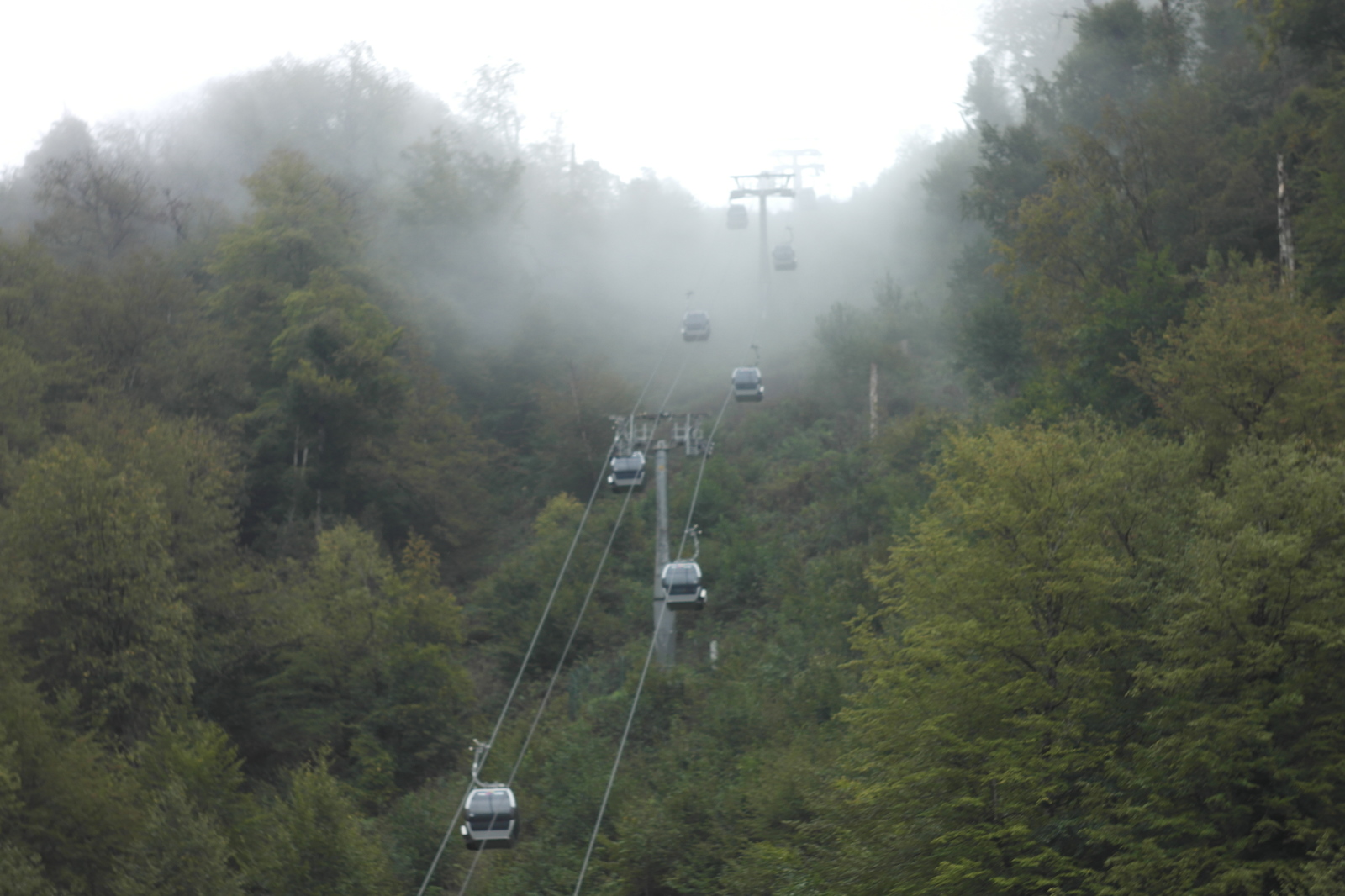 And Sochi is good! - My, Sochi, Abkhazia, Black Sea, October, Tangerines, Relaxation, Travels, Longpost