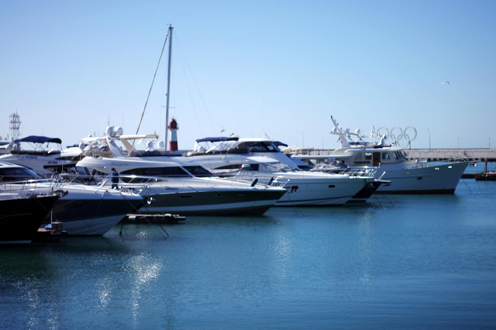 And Sochi is good! - My, Sochi, Abkhazia, Black Sea, October, Tangerines, Relaxation, Travels, Longpost