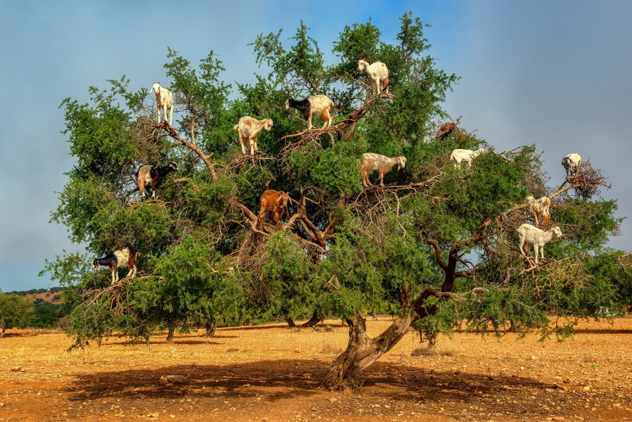 Random Geography. Part 114. Morocco. - Geography, Interesting, Travels, Random geography, Longpost, Morocco