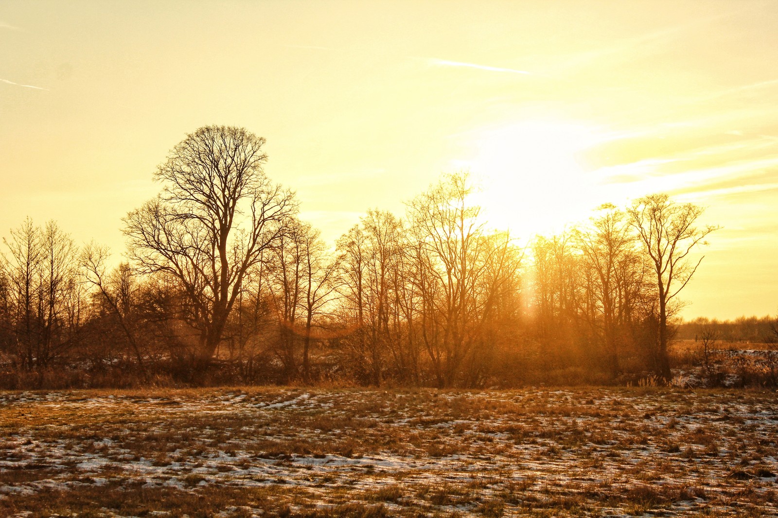 November sunset - My, Sunset, Beginning photographer, The photo, Forest, Longpost