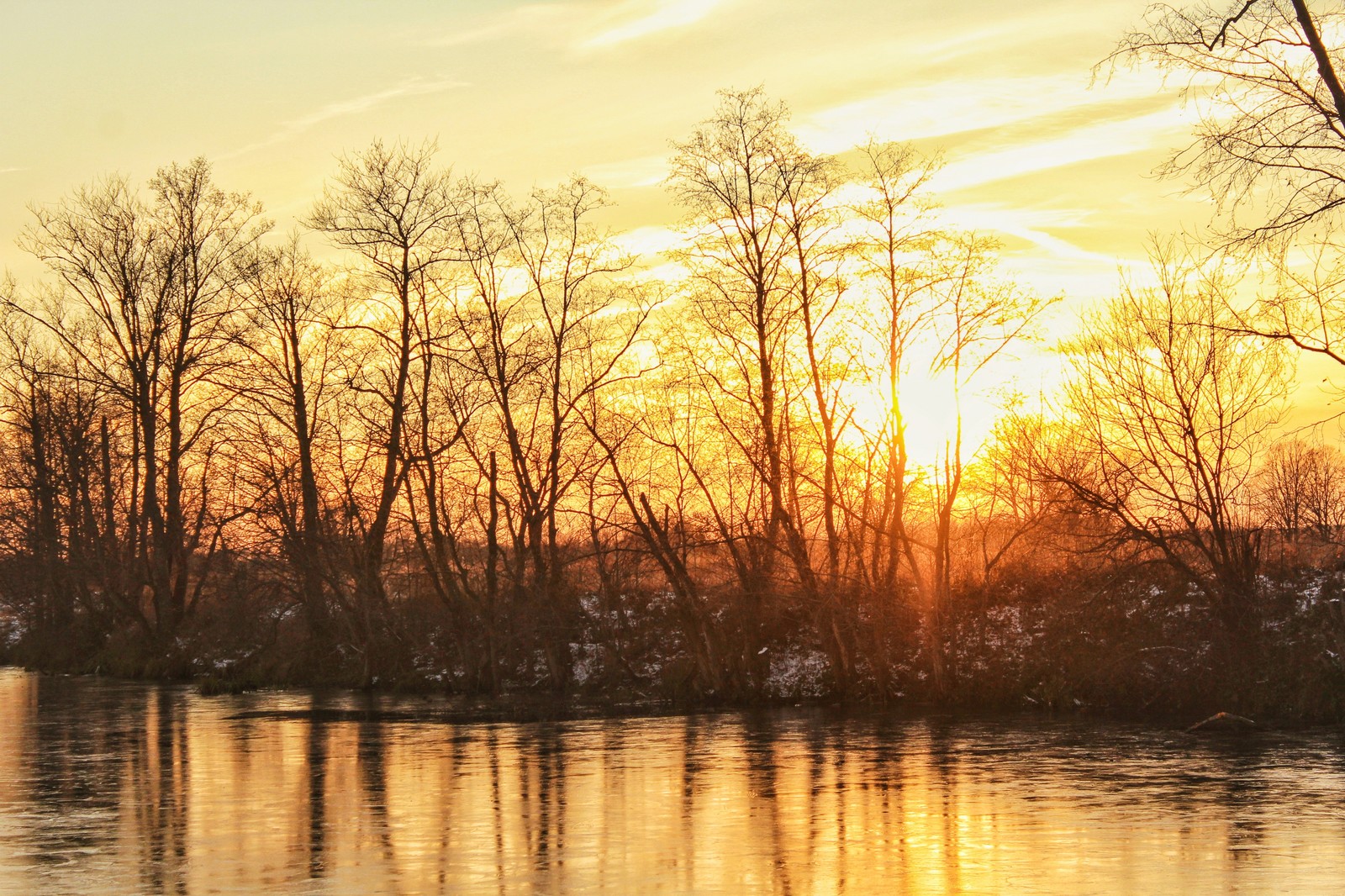 November sunset - My, Sunset, Beginning photographer, The photo, Forest, Longpost