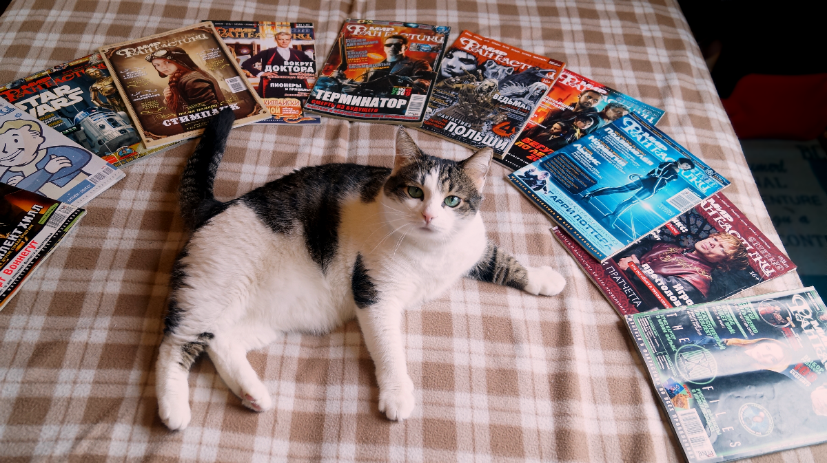 The World of Fantasy magazine will continue to be published - Fantasy, Press, news, Magazine, Hobby, Longpost, cat