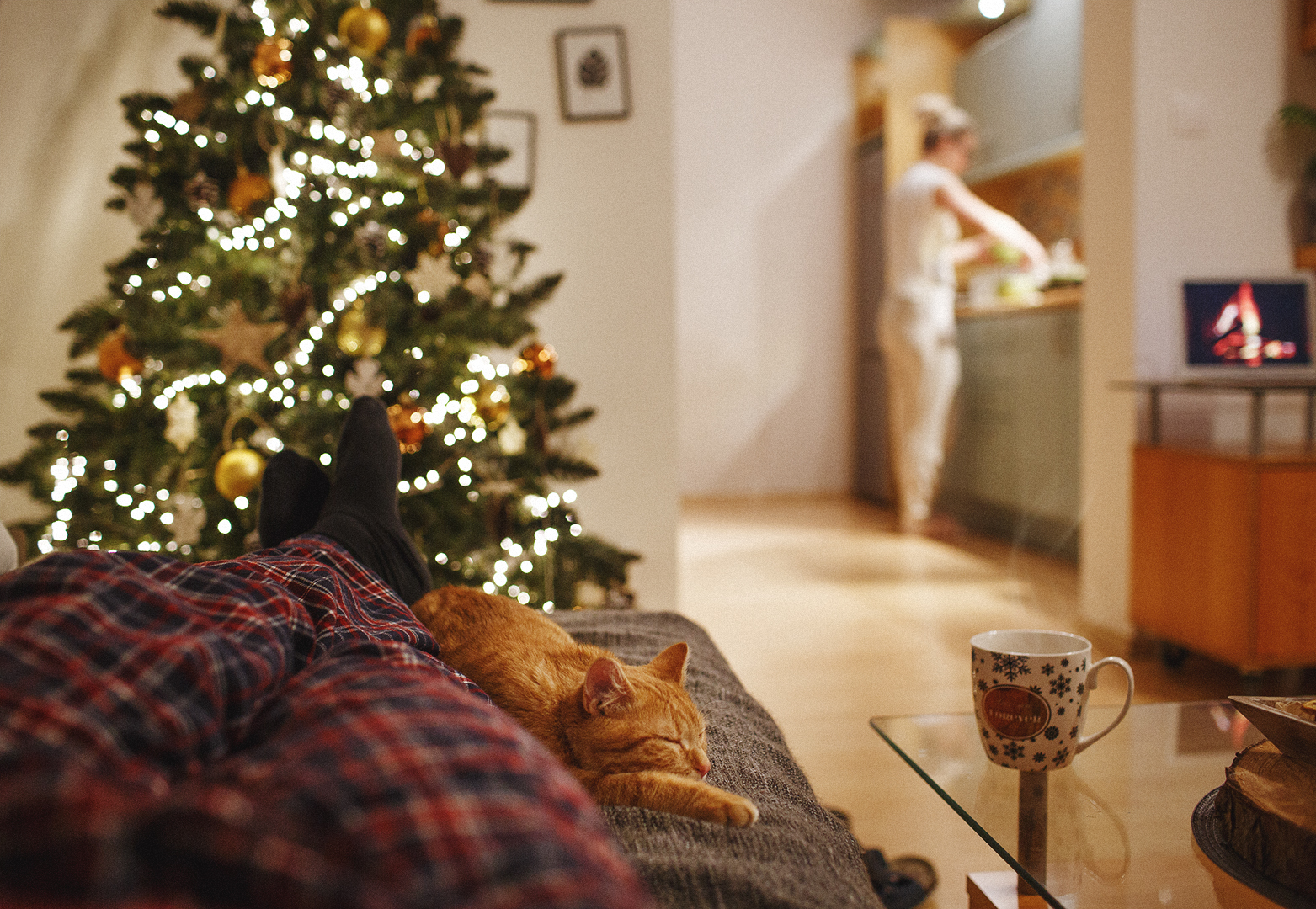 It's good when everything is in its place - My, Christmas tree, cat, The photo, Pets