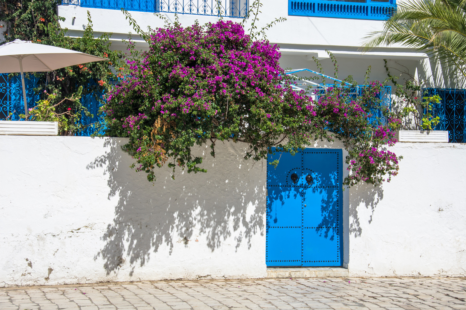 Sidi Bou Said - My, Sidi Bou Said, Tunisia, Longpost