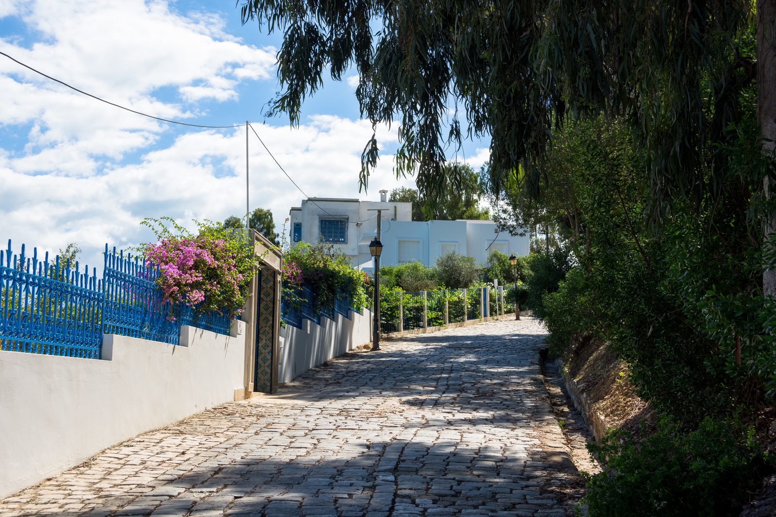 Sidi Bou Said - My, Sidi Bou Said, Tunisia, Longpost