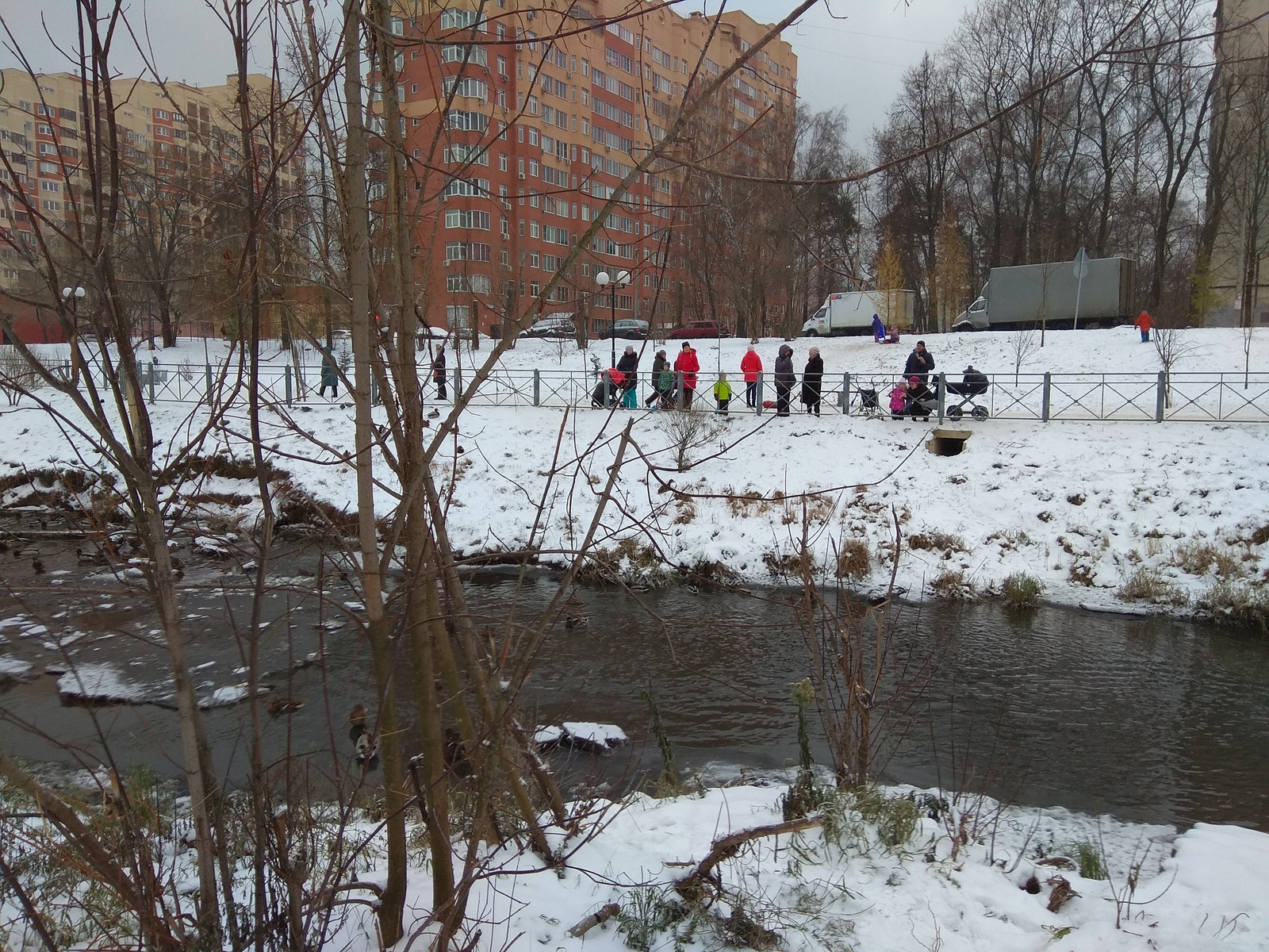 Уничтожение Бобров в Мытищах | Пикабу