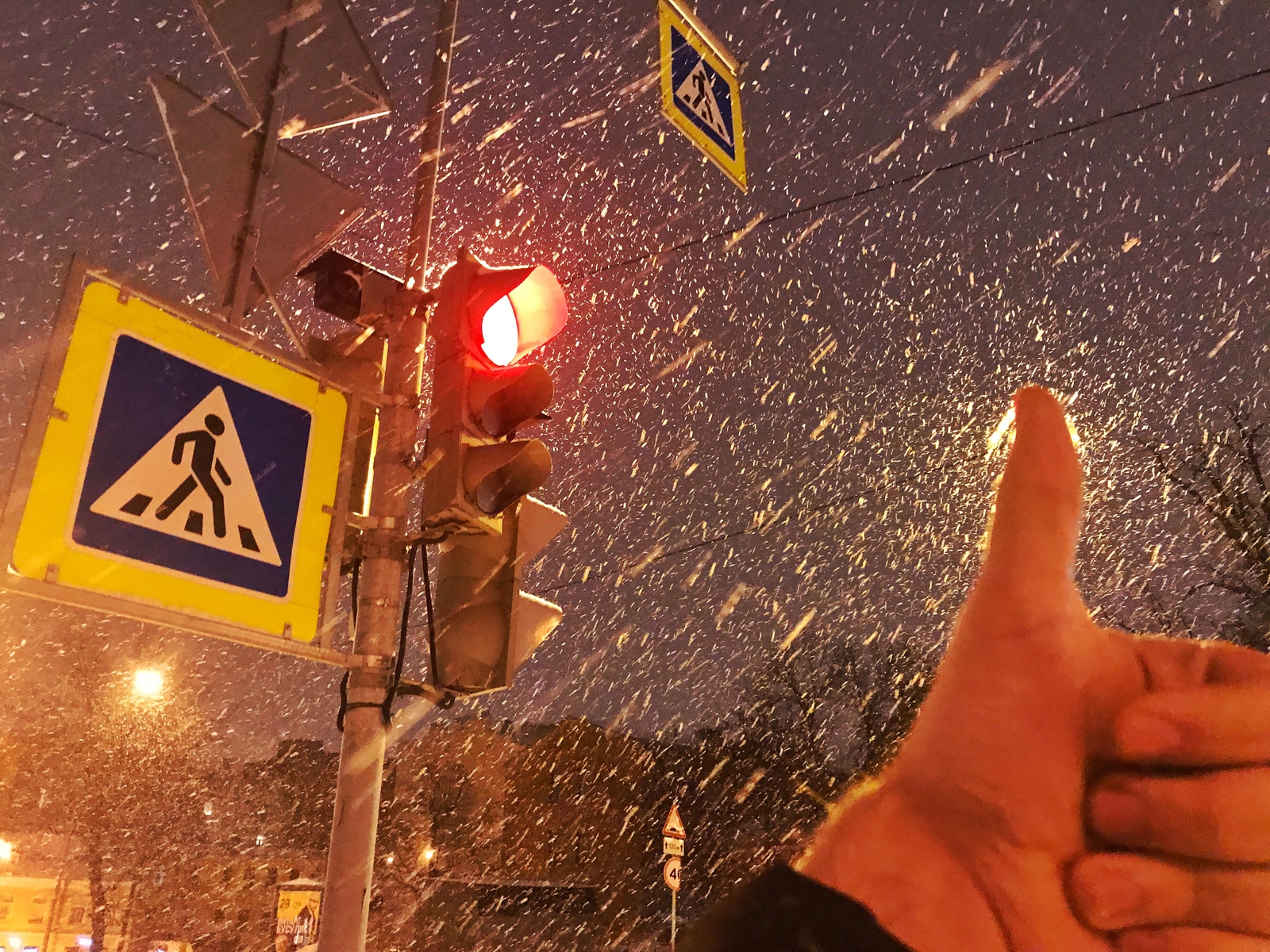 Снежный день | Пикабу