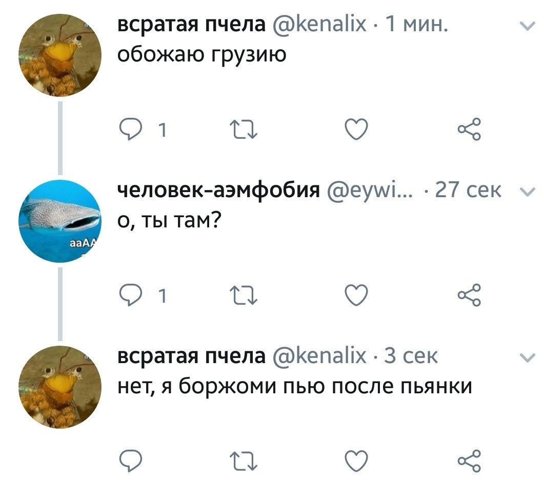 Грузия - Грузия, Боржоми, Скриншот, Twitter