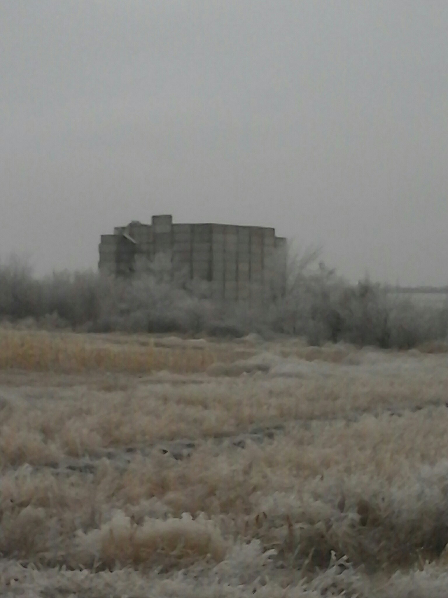 Post-apocalyptic near the cemetery - My, Nature, Reality, Post apocalypse, Longpost