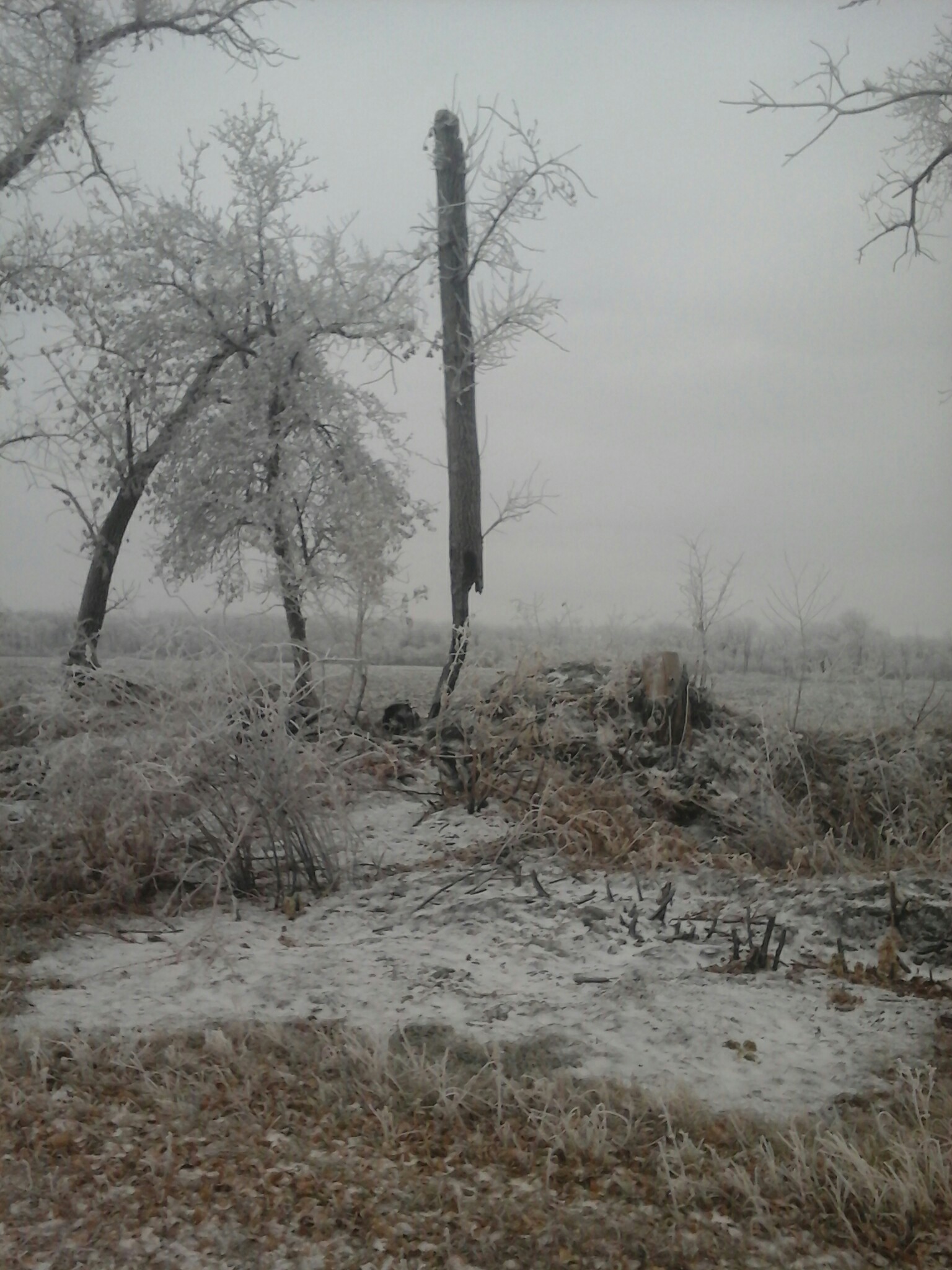 Post-apocalyptic near the cemetery - My, Nature, Reality, Post apocalypse, Longpost