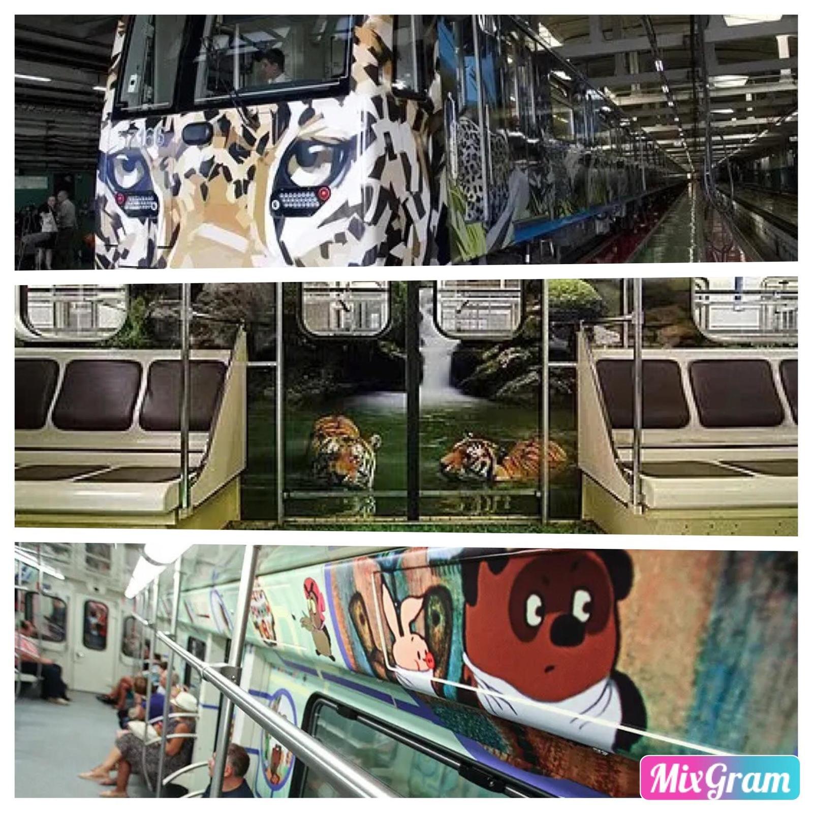 I love themed subway cars. - Metro, Moscow, news, Volunteering, Volunteers, Images, The photo, Longpost