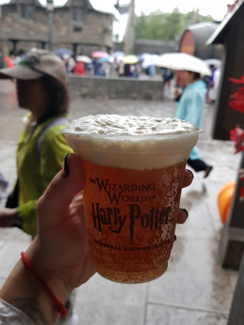 Harry Potter World in Osaka - My, Harry Potter, Magic, Travels, Japan, Guide, Longpost