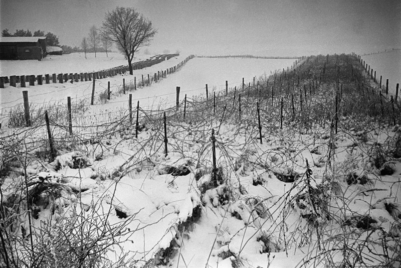 Великая Отечественная Война 1941-1945. № 26 - Великая Отечественная война, Чтобы помнили, Военный корреспондент, Шайхет Аркадий Самойлович, Длиннопост