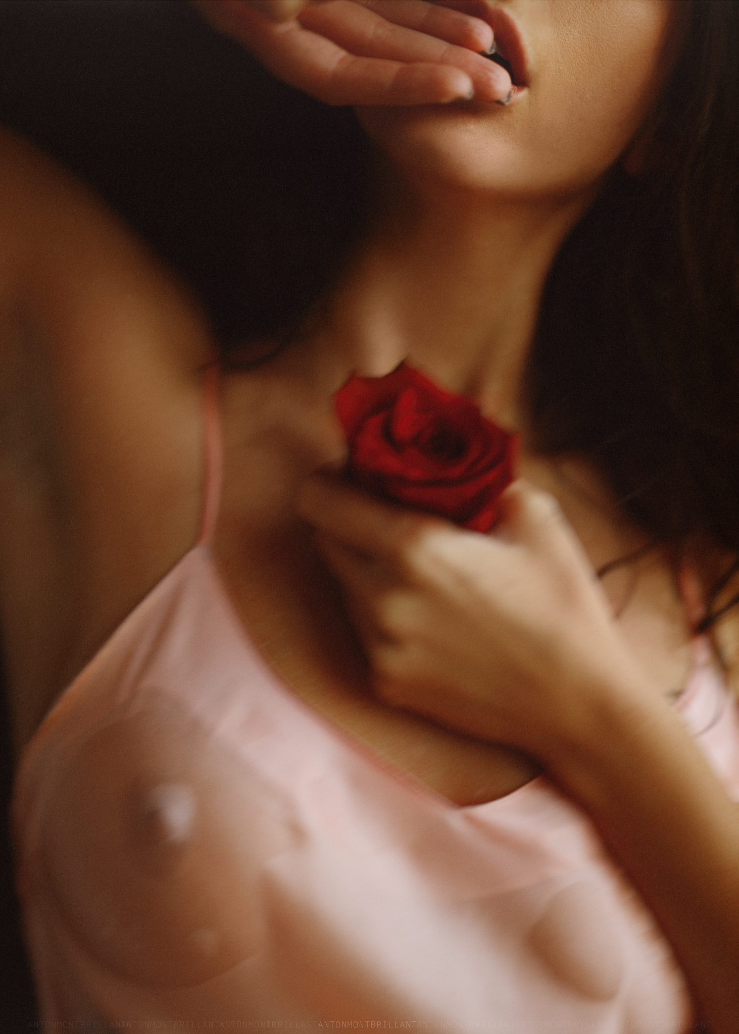 the Rose - NSFW, Erotic, Girls, Breast, Longpost