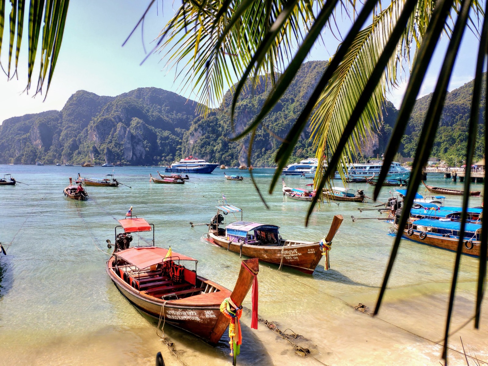 Phi Phi Islands, Thailand - My, Koh Phi Phi, Travelers, Travels, Underwater world, Video, Longpost