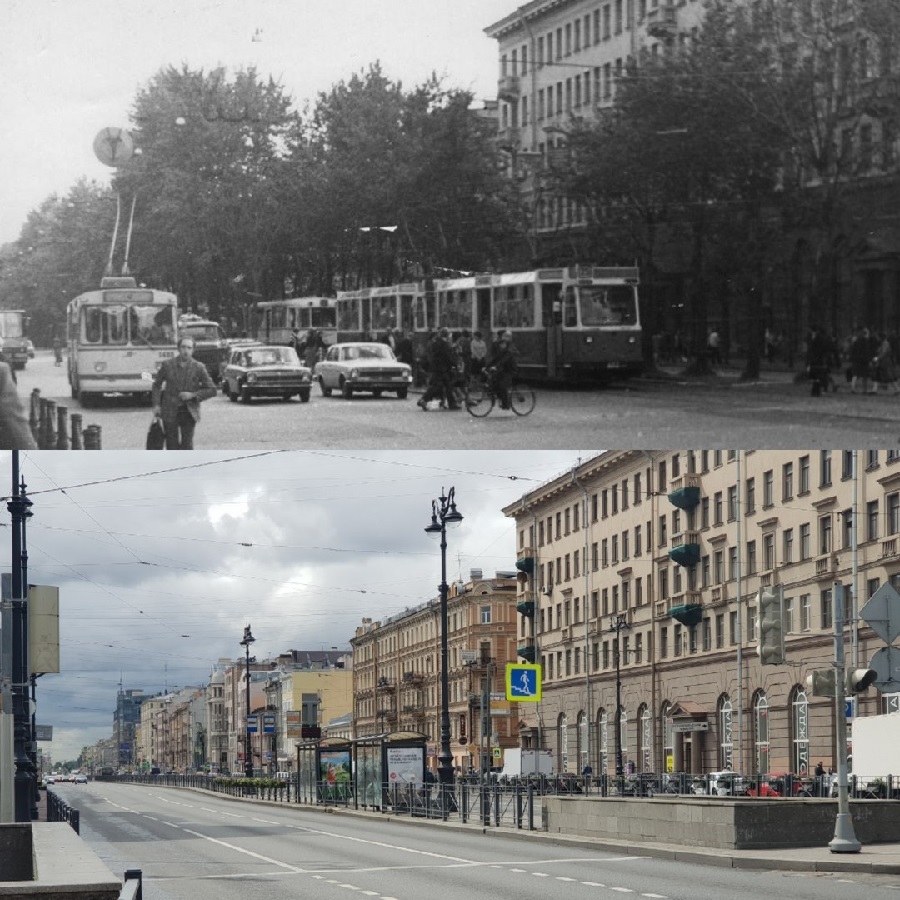 How Petersburg turned into a stone jungle - Saint Petersburg, Tree, Felling, Landscaping, Urbanism, Longpost