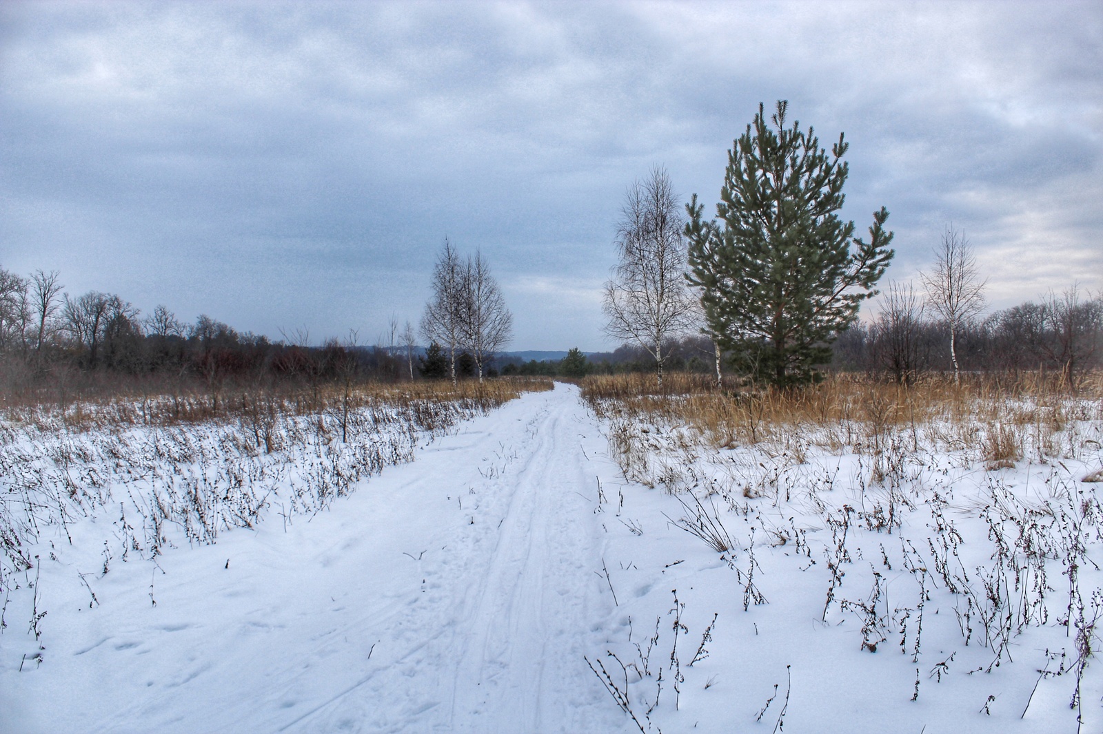 Photo walk - My, Dzerzhinsk, The photo, Canon 1300d, 18-55 kit, Nature, Longpost