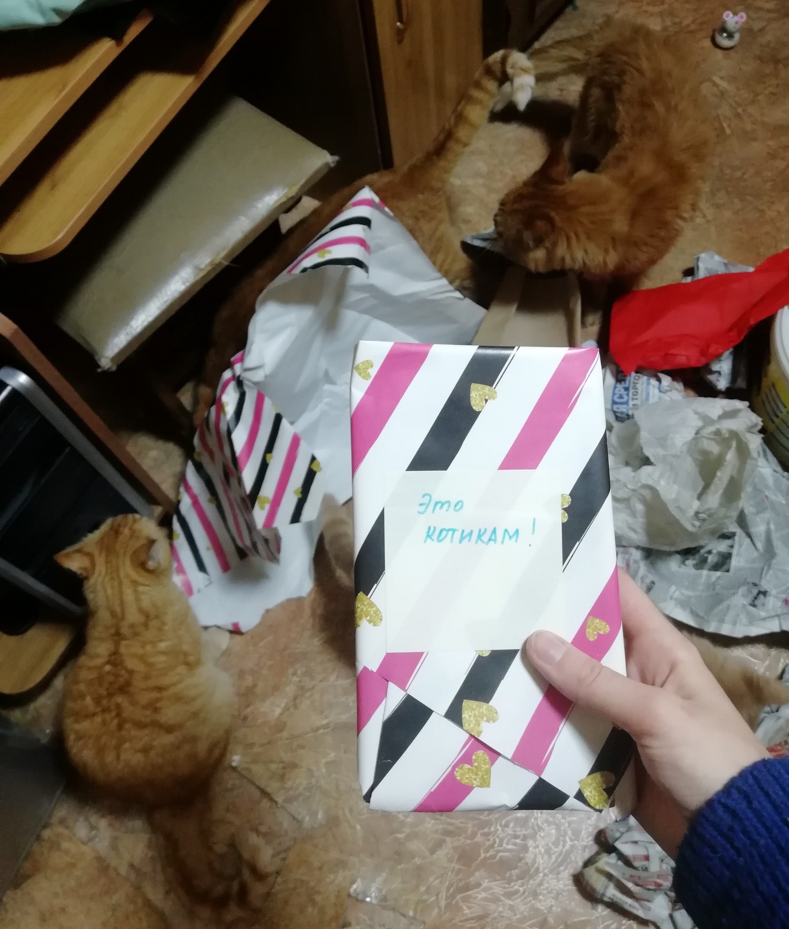 New Year's gift exchange :o - My, Secret Santa, New Year, Gift exchange, Catomafia, Longpost, Gift exchange report, cat