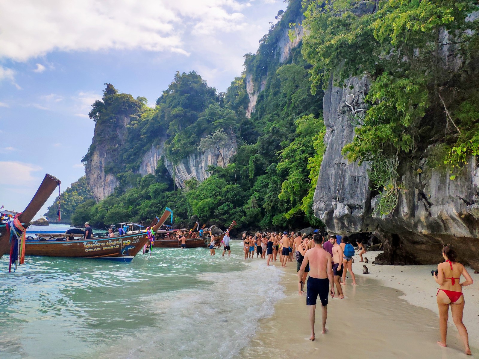 Phi Phi Islands, Thailand - My, Koh Phi Phi, Travelers, Travels, Underwater world, Video, Longpost