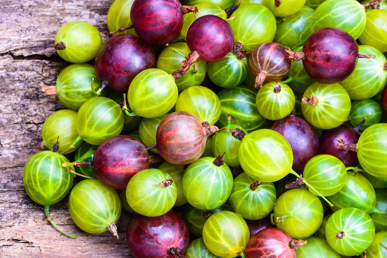 Gooseberry, what kind of berry? - Dacha, Garden, Garden, Berries, Longpost