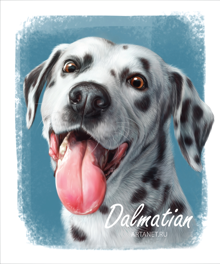 Dalmatian - My, Dog, Dalmatian, Animalistics, Digital drawing, Drawing, Animals, Language