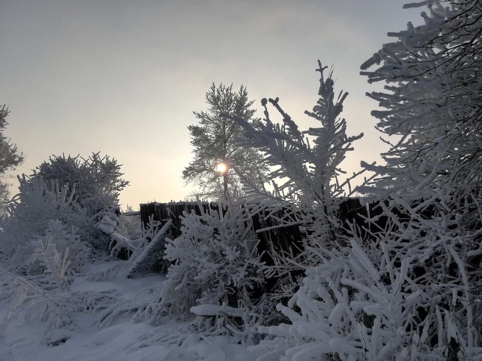 Frost, Yenisei, -25° - My, freezing, Yenisei, Longpost