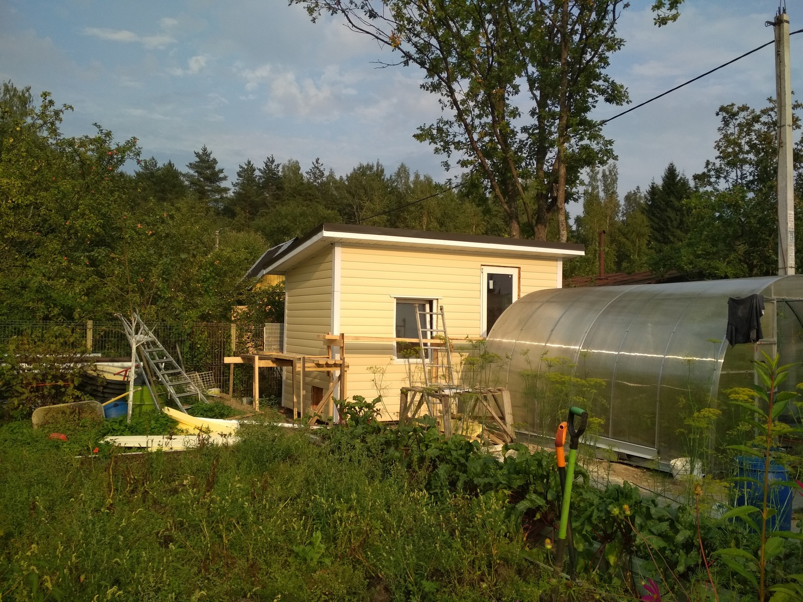 The chickens are dying. - My, Chicken coop, Hen, Gardening, Help, Longpost