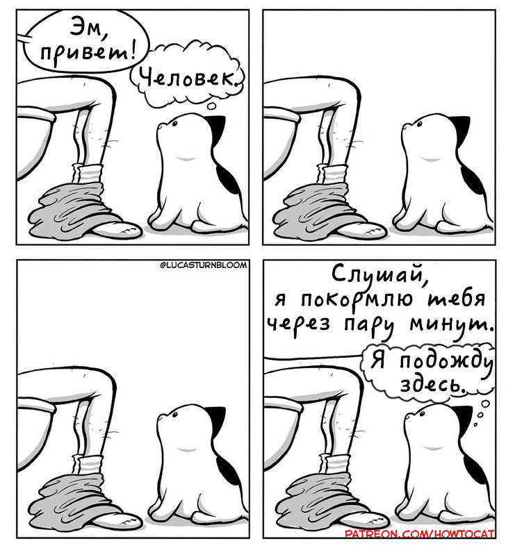 Kotobudni - cat, Howtocat, Comics, Longpost, Lucas Turnbloom