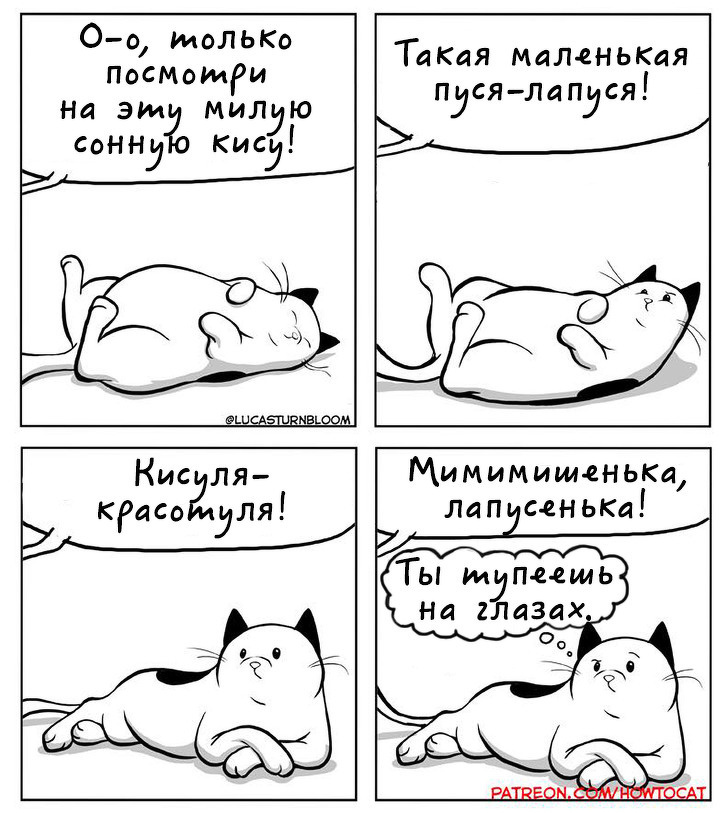 Kotobudni - cat, Howtocat, Comics, Longpost, Lucas Turnbloom