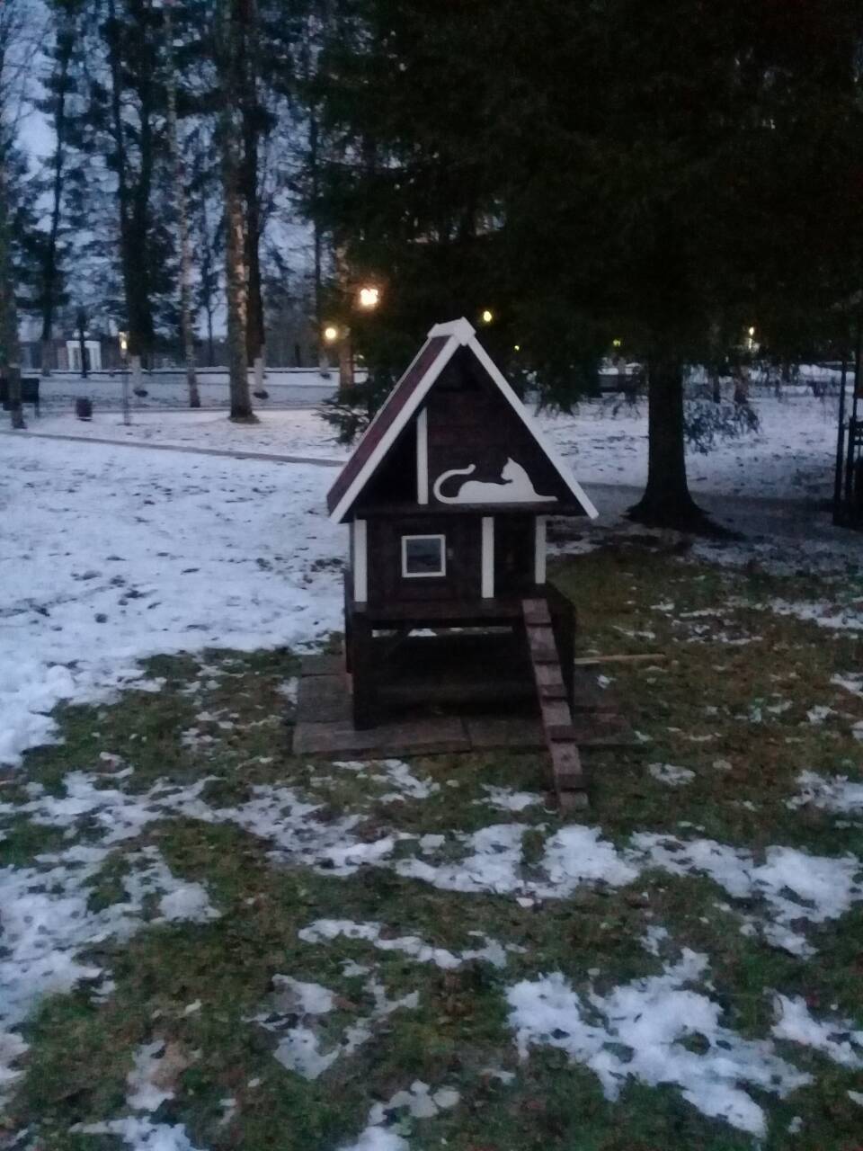 Houses for cats are being built in one of the sanatoriums in the Pskov region - My, Catomafia, Sanatorium, , Longpost, cat