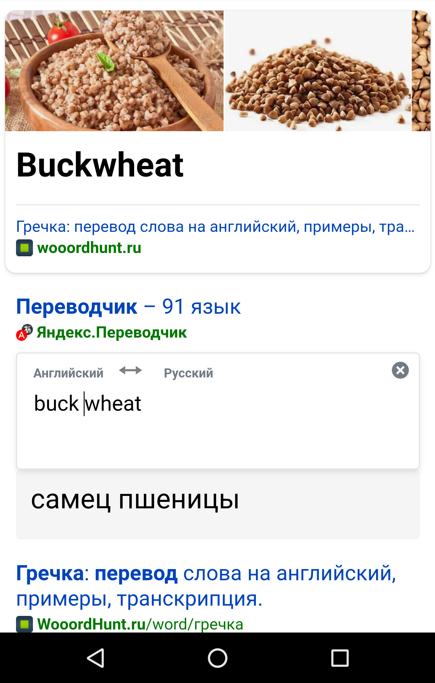 Гречка по англицки - самец пшеницы. Всего-то один пробел)) - Моё, Гречка, Гречиха, Самец, Пшеница, Английский язык, Длиннопост