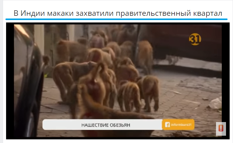 Maidan is sweeping the planet. - India, Toque, Humor, Politics, Screenshot, Joke, Maidan