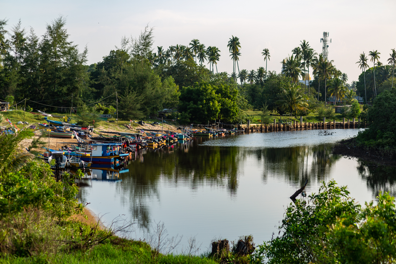 No return ticket needed. 5. Singai Ular - My, Travels, Malaysia, Fishing, Ocean, Horseshoe Crab, Stingray, Video, Longpost