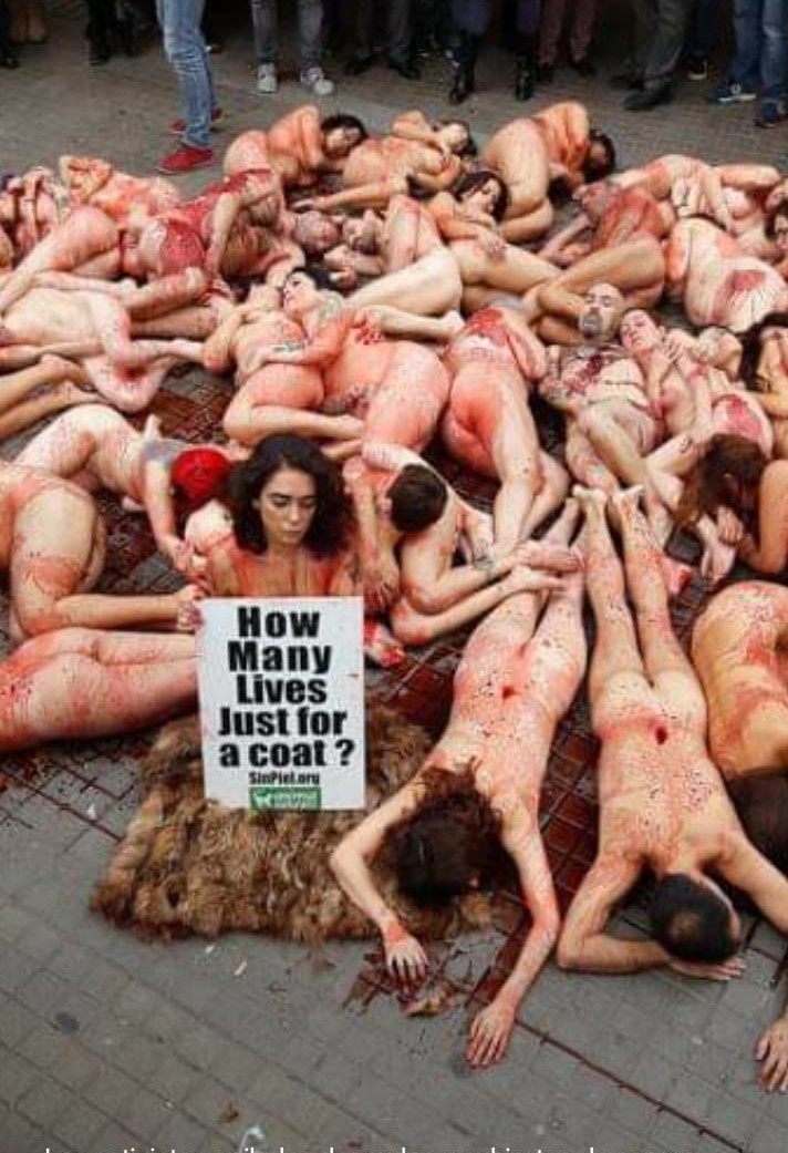 Spain, protest against the use of fur and animal skin - NSFW, Spain, Protest, Radical animal protection