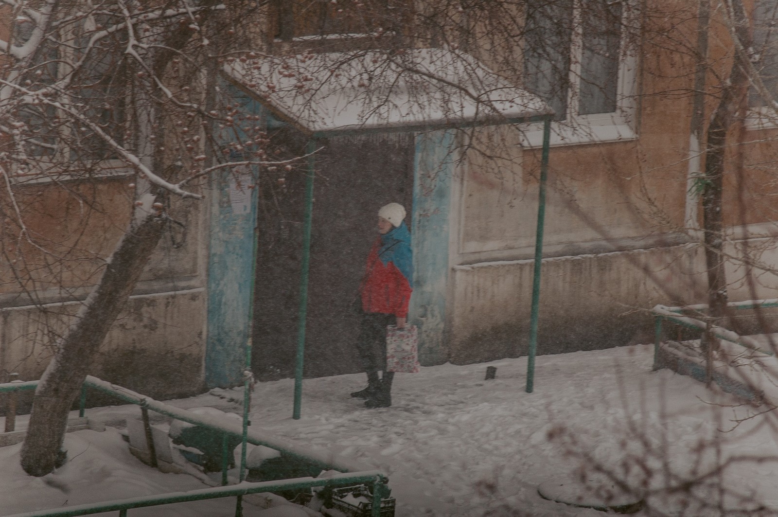 Winter from the window. - My, The photo, Nikon, Winter, View from the window, December, Altai region, Longpost