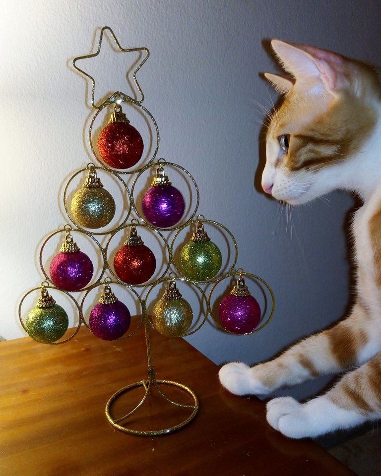 New Year's cats - New Year, cat, Christmas trees, Holidays, Animals, Pet, Longpost, Catomafia, Pets