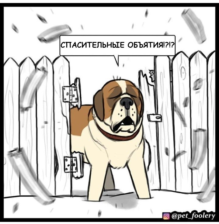 Спасительные объятия - Комиксы, Длиннопост, Pet Foolery, Лола и Мистер Морщинка